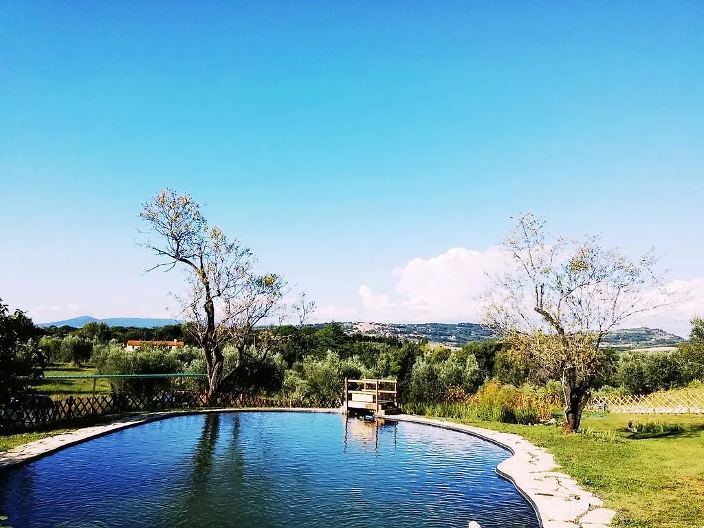 Agriturismo Il Poderino Italy