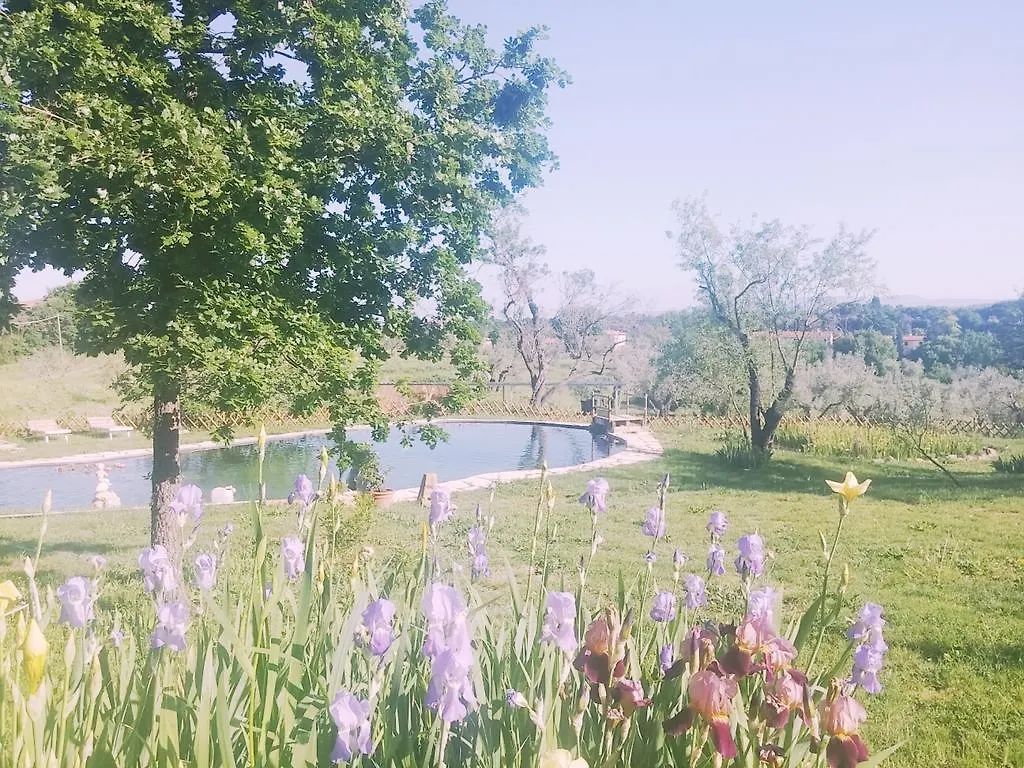 Agriturismo Il Poderino Italy