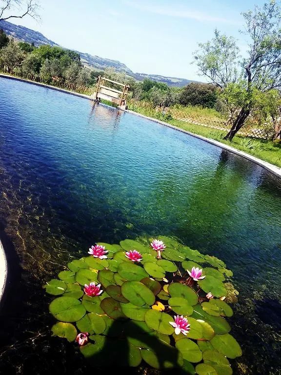 Agriturismo Il Poderino Bibbona Apartmán