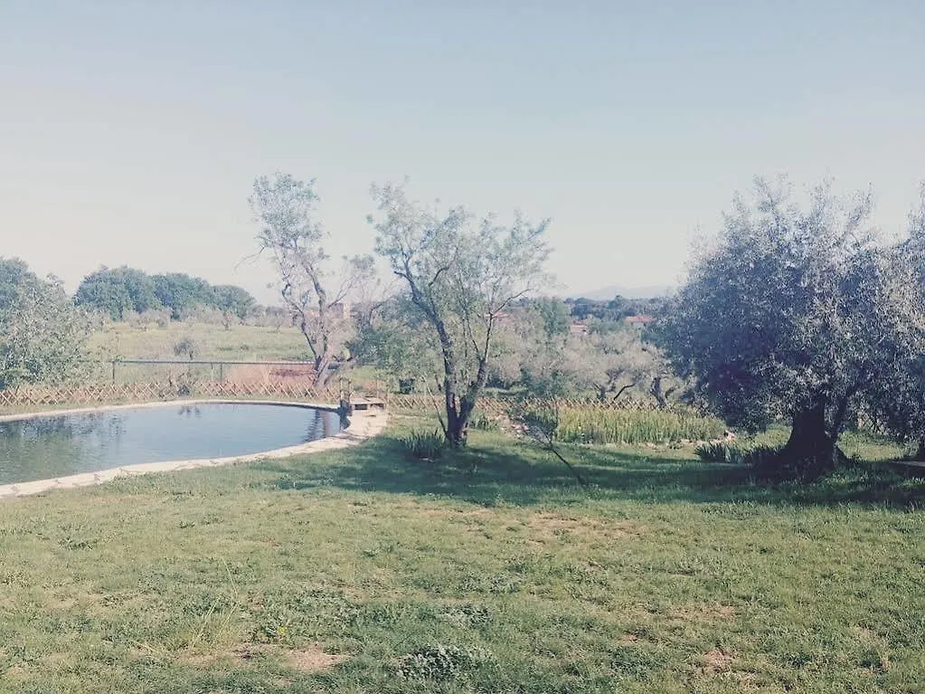 Agriturismo Il Poderino Bibbona